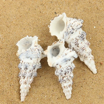 1PC Gamtos Keista Bokštas Sraigė Seashell Myli Jūrinis Akvariumas Apdailos Shell Pavyzdys Amatų Paplūdimys Vestuvių Namų Vandenyno Dekoras