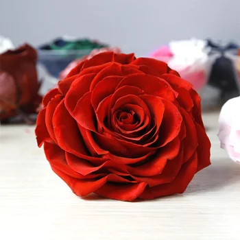 9-10cm 1pcs Didžiulis Konservuoti Gėlių Rose Dėžutė Šviežių Natūralių Džiovintų Gėlių Galvos Dovana Medžiagų galvos apdangalas Newyear Vestuvių Namų Decora